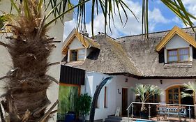 Rigotanya Relax & Wellness Panzio Buekfuerdo